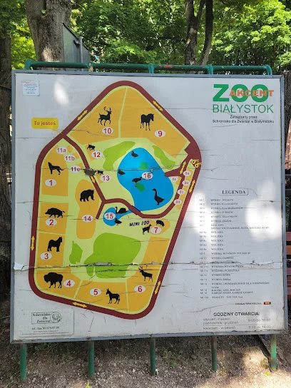 Akcent ZOO