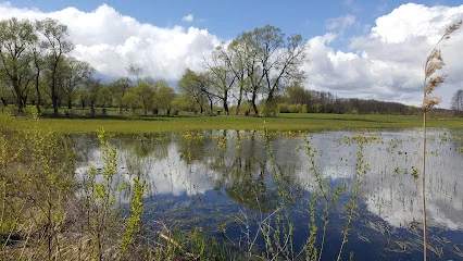 Biebrzański Park Narodowy