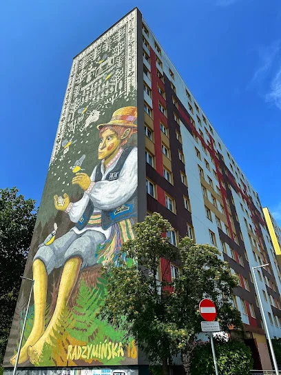 Mural 'Chłopiec i Tkanina'